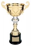 Annual Awards 2019 Announced 